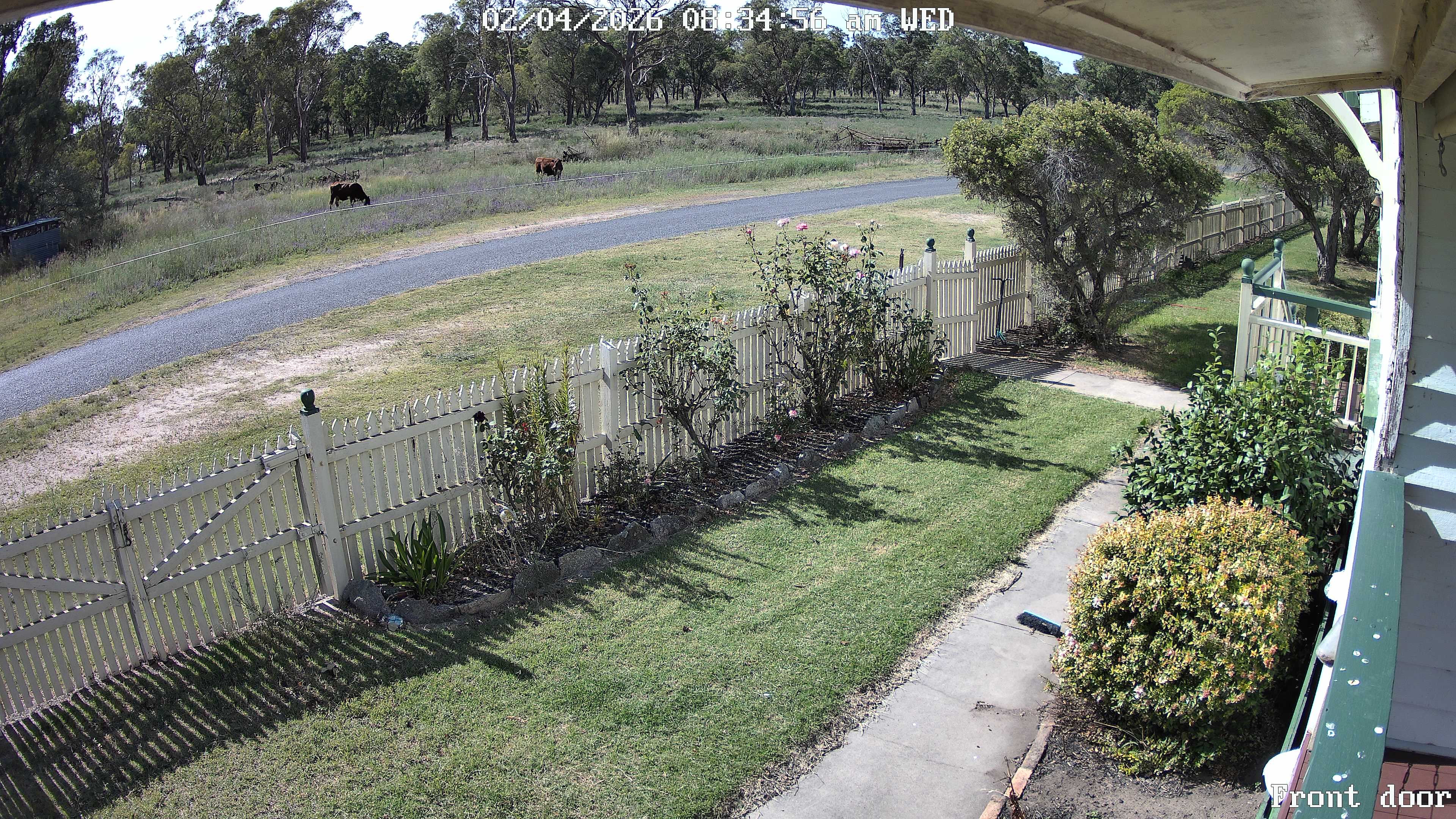 Front door_00_20260204083456.jpg